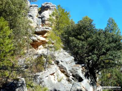 Rambla del Avellano-Arbeteta; gr 124 volcan olot marchas de montaña gorbea parque natural